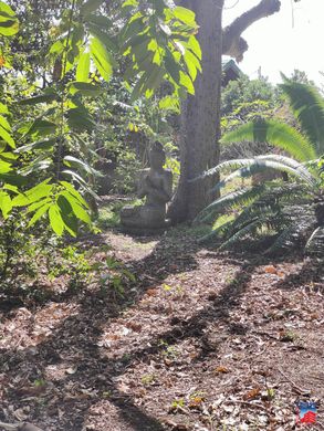 Grundstück in Punaauia, Îles du Vent