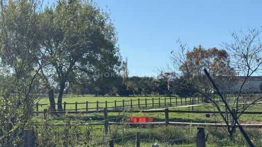 Casa de lujo en Allègre-les-Fumades, Gard