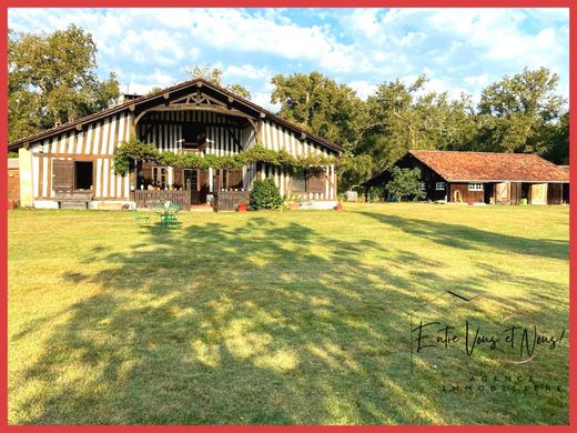 豪宅  Luxey, Landes