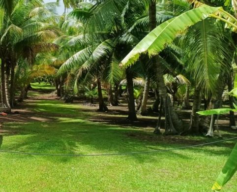 أرض ﻓﻲ Tahaa, Îles Sous-le-Vent