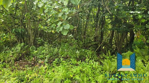 Terreno - Raiatea, Îles Sous-le-Vent
