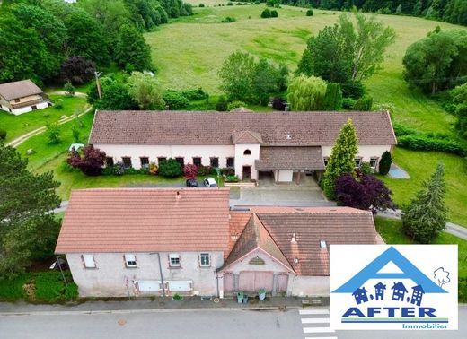 Wohnkomplexe in Granges-sur-Vologne, Vosges