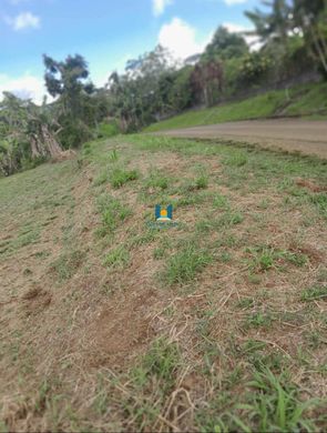 ‏קרקע ב  Afaahiti, District de Vairao