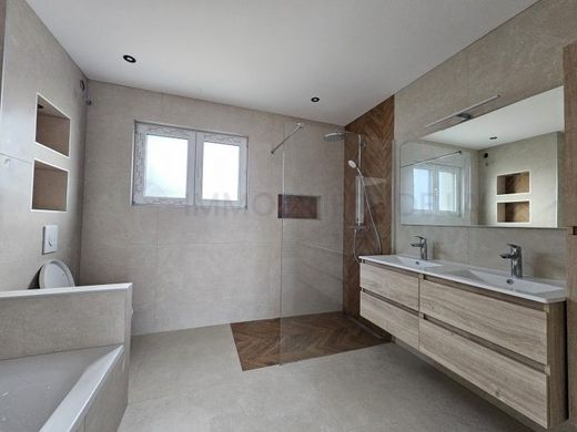 ‏בתי יוקרה ב  Habsheim, Haut-Rhin