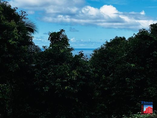 Land in Teavaro, Îles du Vent