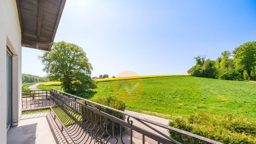 Largitzen, Haut-Rhinの高級住宅