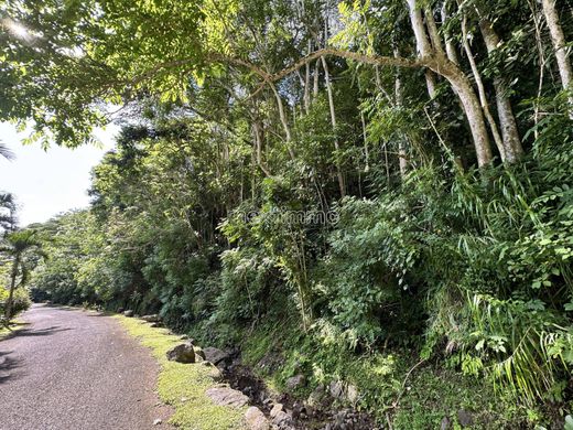 Punaauia, Îles du Ventの土地