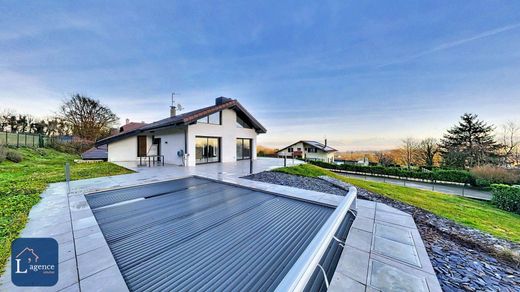 豪宅  Échenevex, Ain