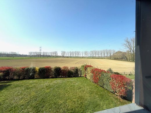 Luxury home in Mérignies, North