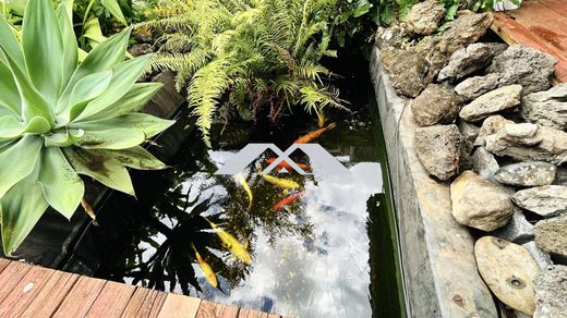 Casa di lusso a Saint-Denis, Riunione