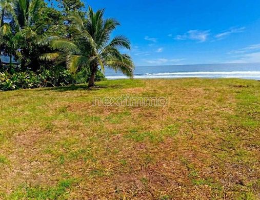 Land in Tiarei, District de Vairao