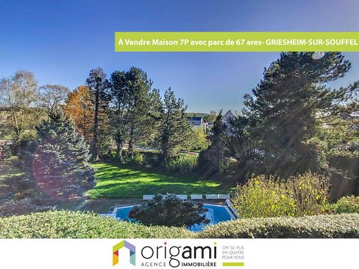 Casa de lujo en Griesheim-sur-Souffel, Bajo Rin