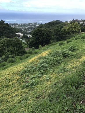 ‏קרקע ב  Punaauia, Îles du Vent