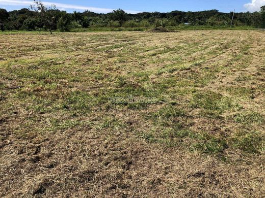 Grundstück in Taravao, District de Vairao