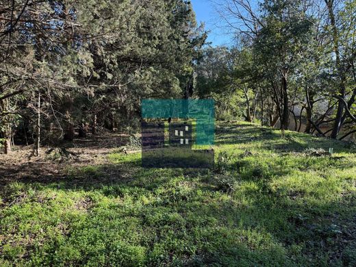 Terreno - Montpellier, Hérault