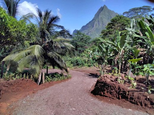 Αγροτεμάχιο σε Paopao, Îles du Vent