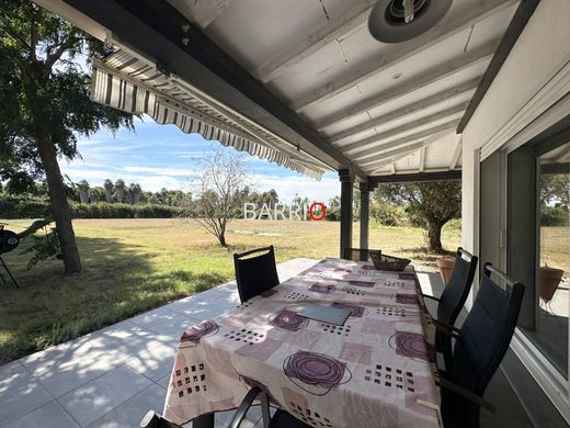 Lüks ev Saint-Cyprien, Pyrénées-Orientales