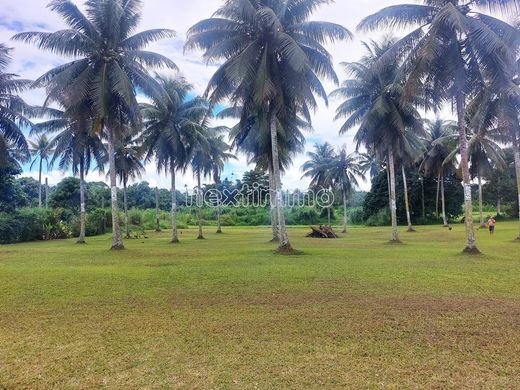 Αγροτεμάχιο σε Taravao, District de Vairao