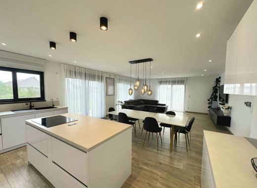 ‏בתי יוקרה ב  Ensisheim, Haut-Rhin