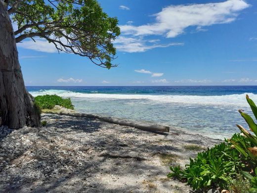 Terreno - Teavaro, Îles du Vent