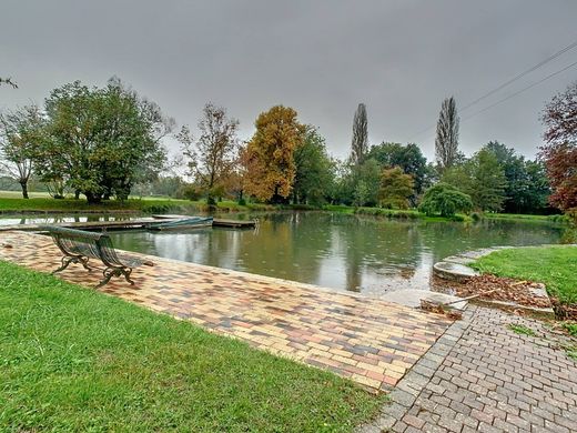 Kasteel in Thoissey, Ain