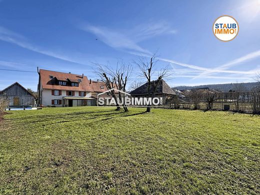 Maison de luxe à Lutter, Haut-Rhin