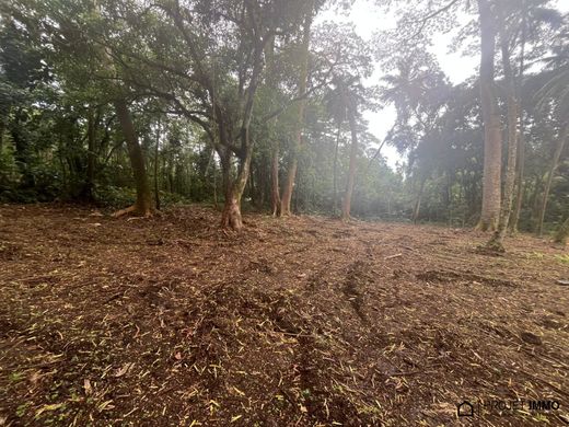 Land in Haapiti, Îles du Vent