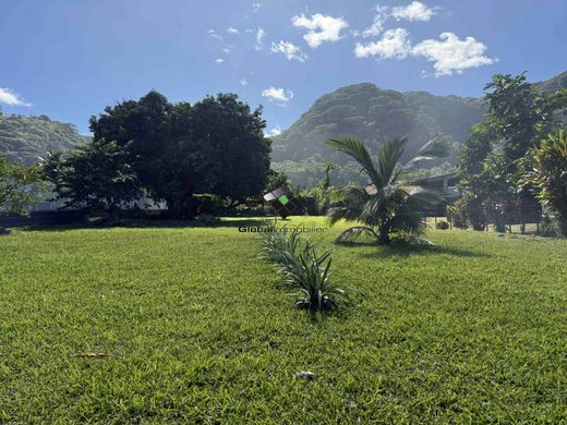 토지 / Vairao, Taiarapu-Ouest