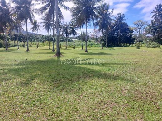 أرض ﻓﻲ Taravao, District de Vairao