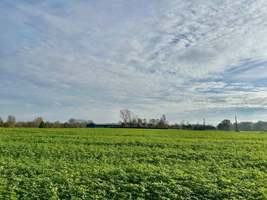 Luxus-Haus in Verlinghem, Nord