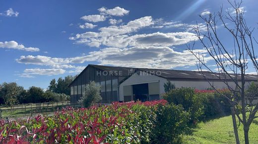 Luxus-Haus in Nîmes, Gard