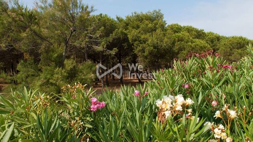 ‏דירה ב  Saint-Clément-de-Rivière, Hérault