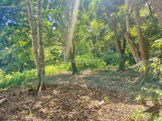 Terreno en Arue, Îles du Vent