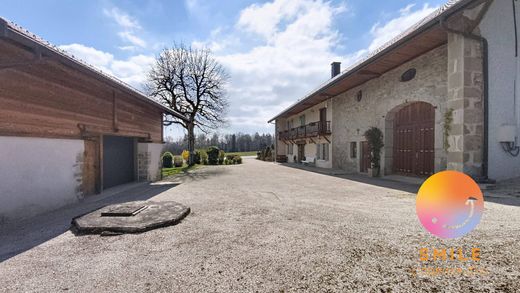Casa di lusso a Etaux, Alta Savoia