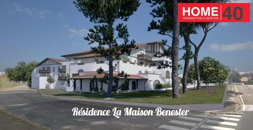 Apartment in Sanguinet, Landes