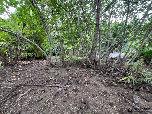 Terreno - Moorea, Moorea-Maiao