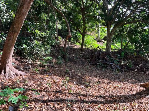 地皮  Arue, Îles du Vent