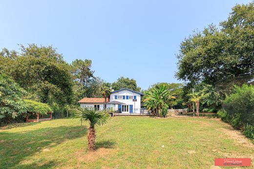 Maison de luxe à Saint-Laurent-de-Gosse, Landes