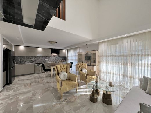 Maison de luxe à Décines-Charpieu, Rhône