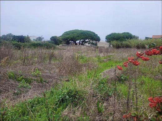 Terrain à Sainte-Marie-de-Ré, Charente-Maritime