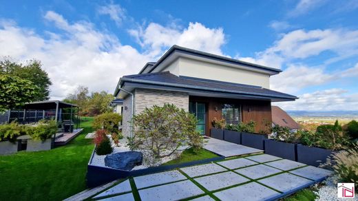 Luxury home in Blotzheim, Haut-Rhin