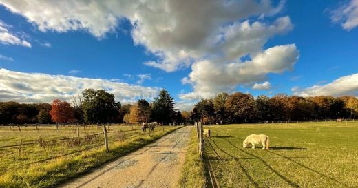 Bourdonné, Yvelinesの高級住宅