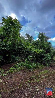 Terrain à Teavaro, Îles du Vent
