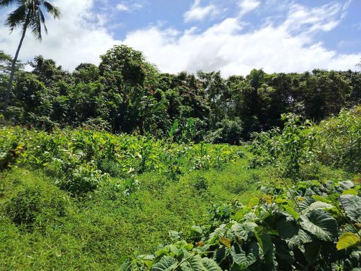 أرض ﻓﻲ Taravao, District de Vairao