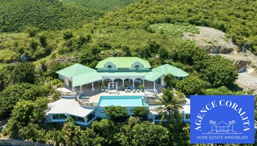 Luxury home in Saint Martin