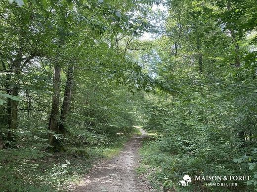 Land in Gien, Loiret