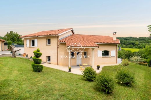 Luxury home in Villette-de-Vienne, Isère