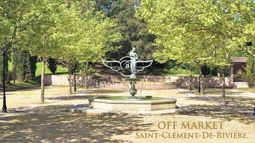 Maison de luxe à Saint-Clément-de-Rivière, Hérault