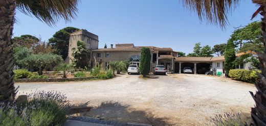 Luxury home in Villemoustaussou, Aude