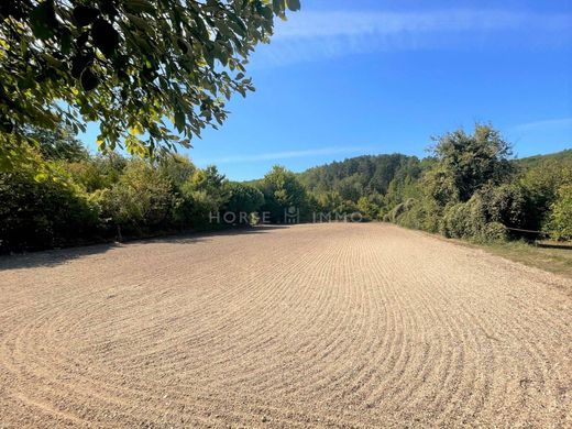 Semur-en-Auxois, Cote d'Orの高級住宅